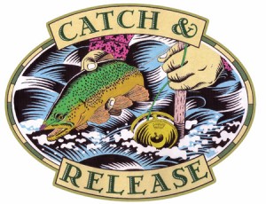 Catch and Release by Eric Jordan